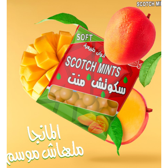 سكوتش منت مانجو  (كرتونة=6 علبة)