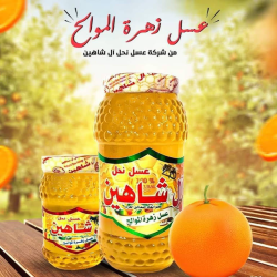 عسل نحل ال شاهين 1كجم  (باكت=12 برطمان)